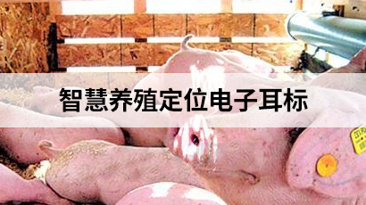 智慧養殖定位電子耳標