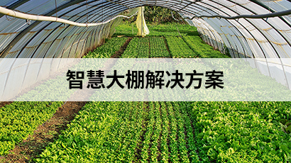 智慧大棚解決方案